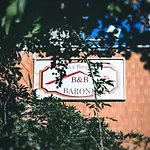Barone ריונרו אין וולטורה